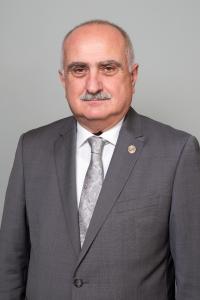 Ing. Rauf Gusejnov